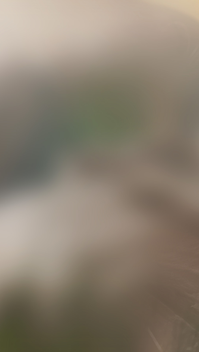 form background